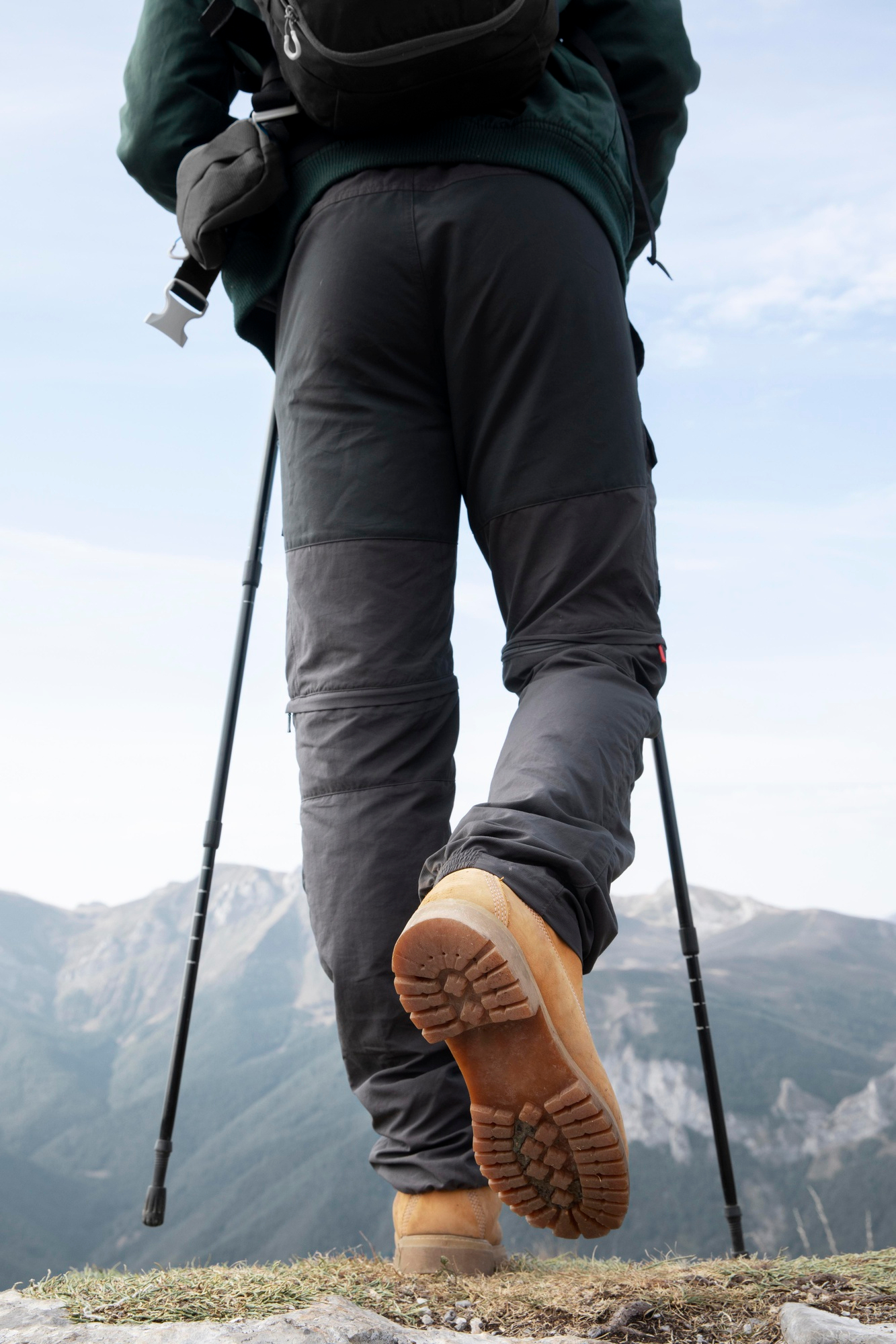 Hiking Sticks